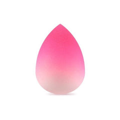 Makeup Sponge puff dry wet blender