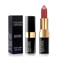 Lipstick Matte Waterproof Velvet Pigment Nude Rouge