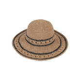 Straw Hat Women's Sunshade and Face Shield Hat
