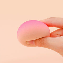 Makeup Sponge puff dry wet blender