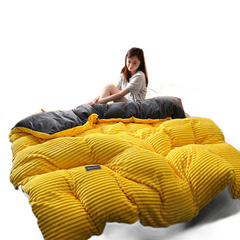 Double-sided magic velvet four-piece coral velvet bedding