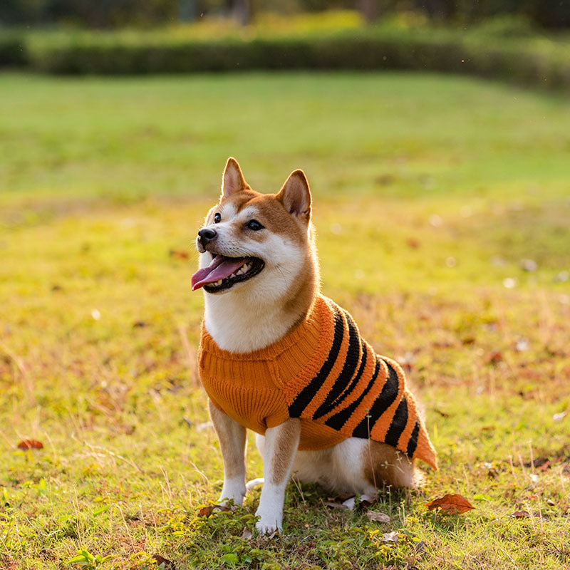 Dog Sweaters
