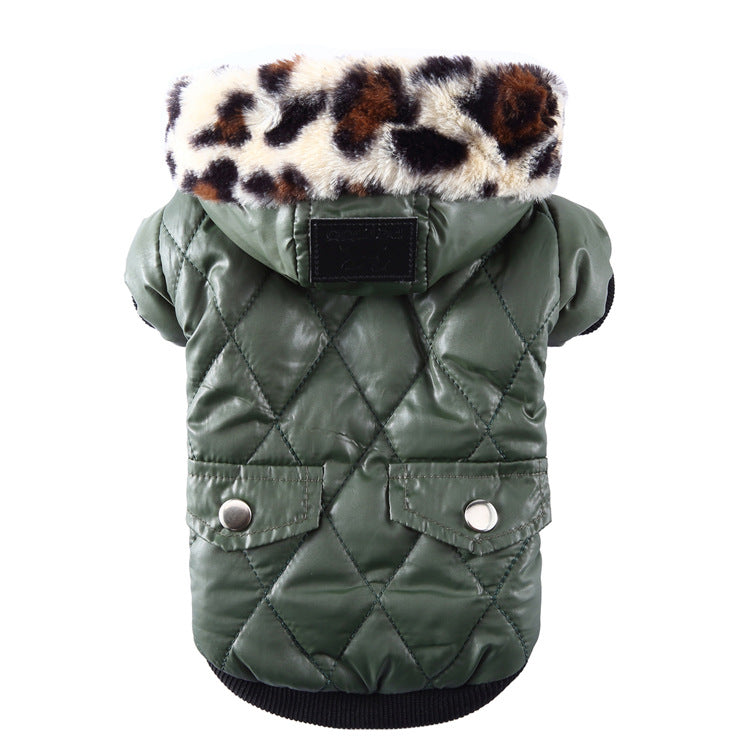 pet dog clothing for Winter