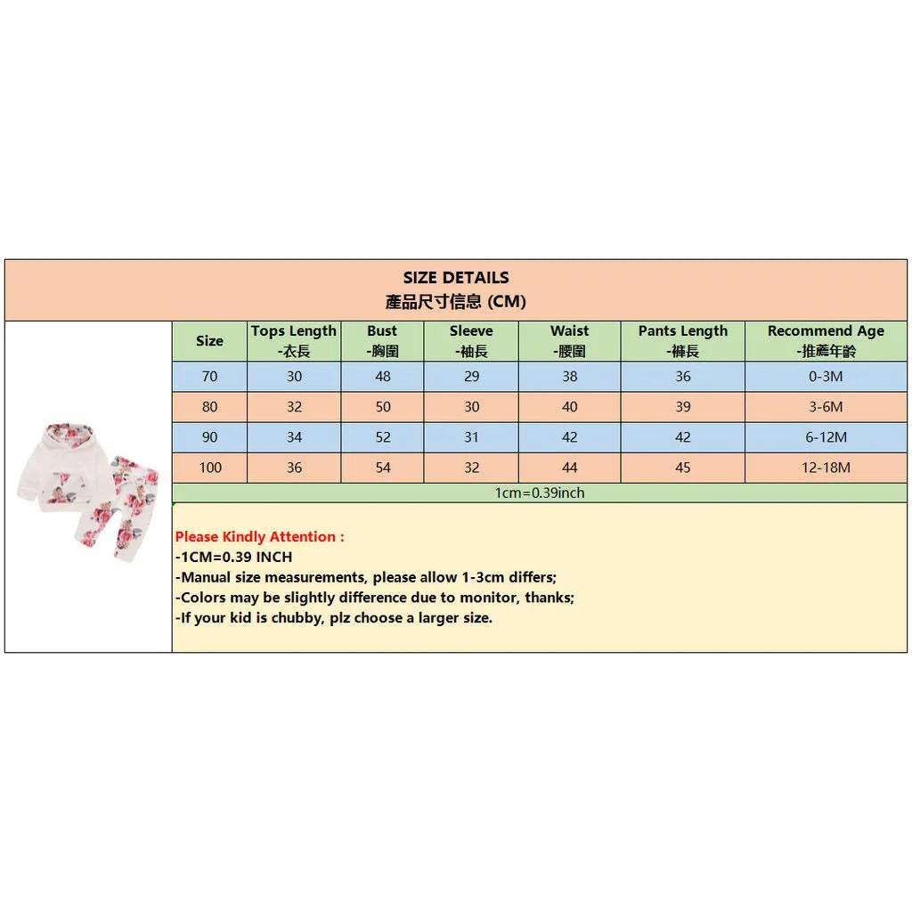 Months Newborn Baby Girl Floral Clothes Set Hooded Printed Top + Pant