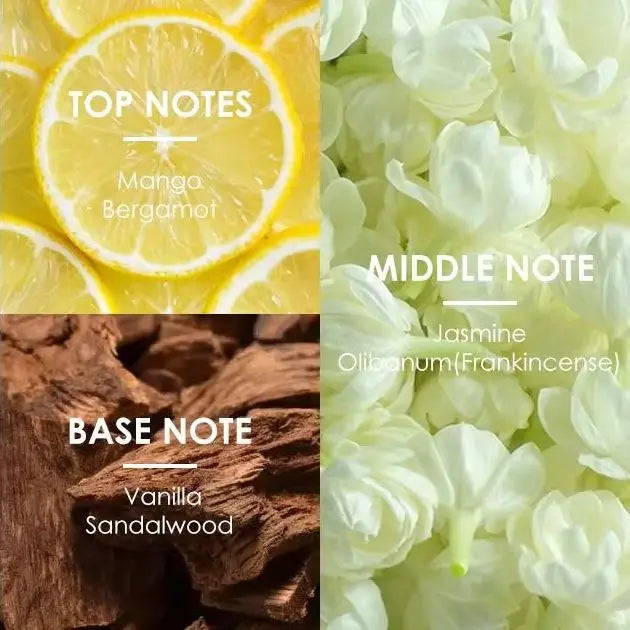 Powdery Perfume Floral Woody Layering Bergamot Vanilla EDP