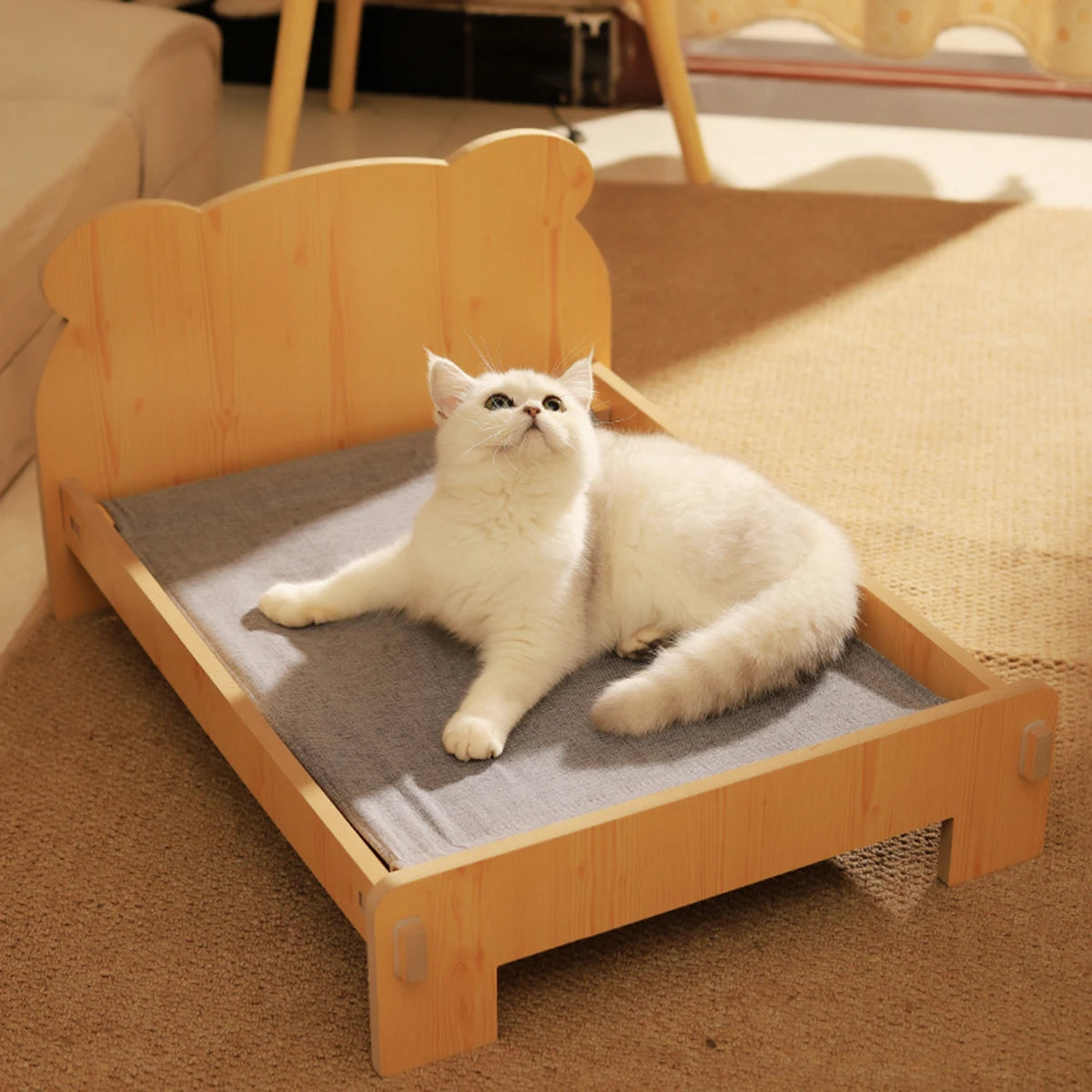 Cat Bed Wooden Cat And Dog Bed With Teddy Bear Pattern Indoor Pet Furniture Floor To Ceiling Bed