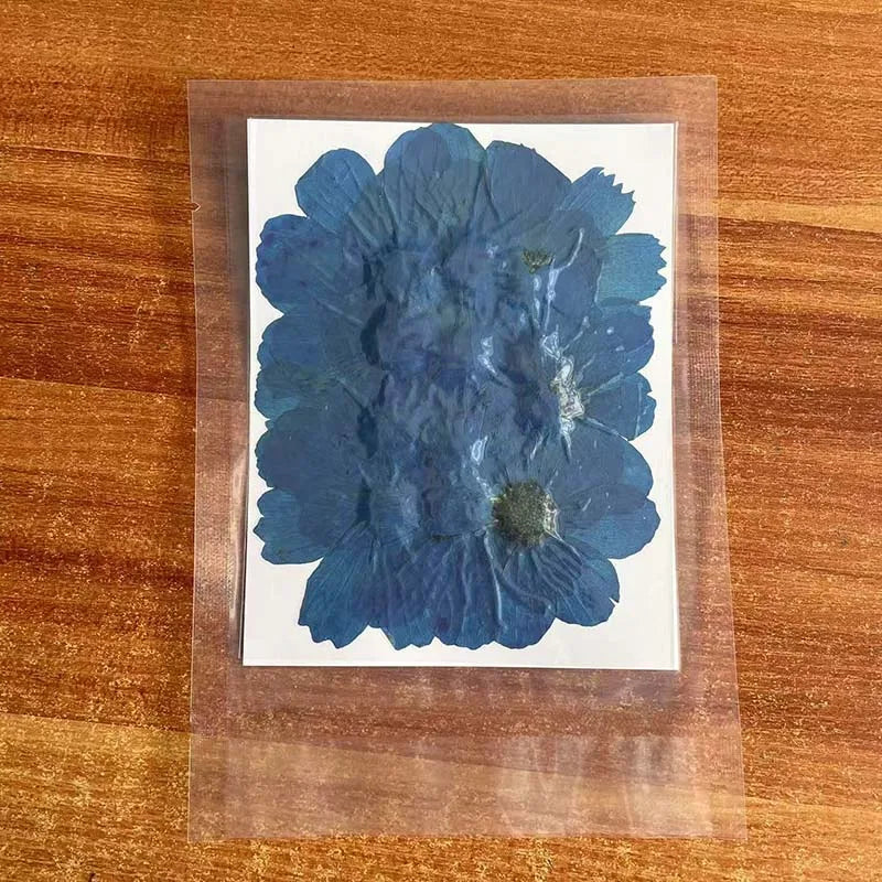 7~9CM/12PCS Natural Dried Large Pressed Galsang Flowers Heads,Dry Sunflower For Epoxy Resin Jewellery,Candles Making Decoration.