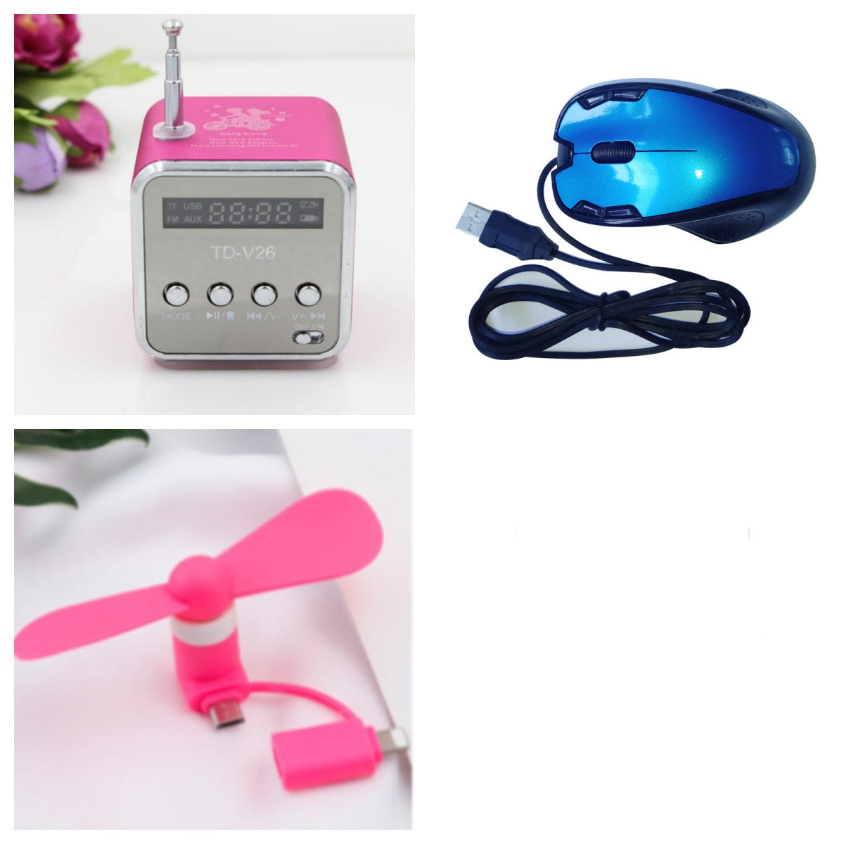 TD-V26 Portable Speaker Mini FM Radio