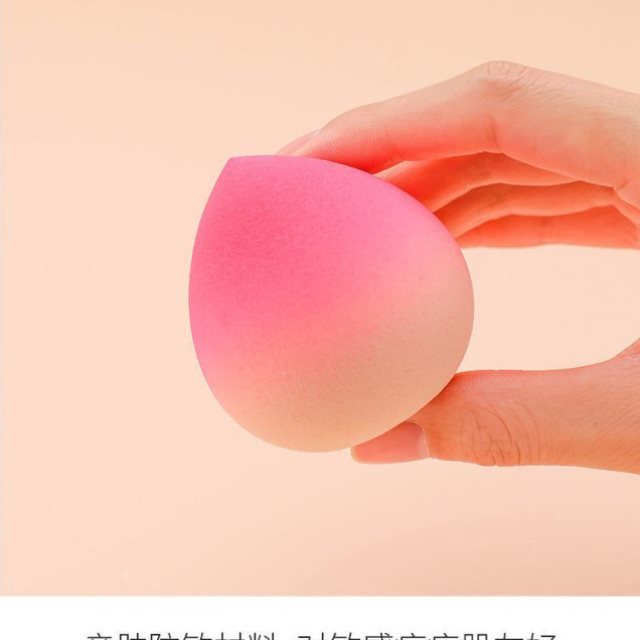 Makeup Sponge puff dry wet blender