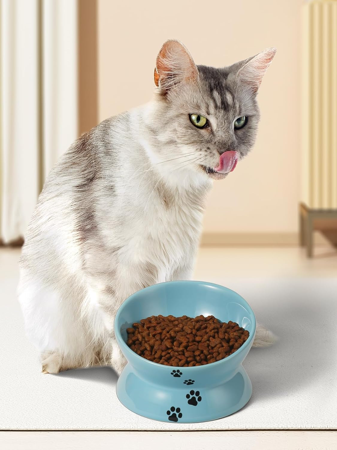Elevated Cat Food Bowl