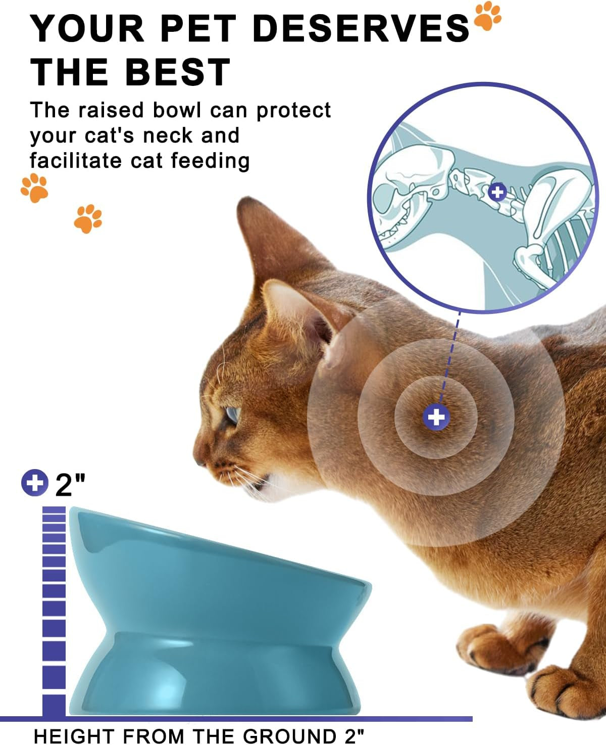 Elevated Cat Food Bowl